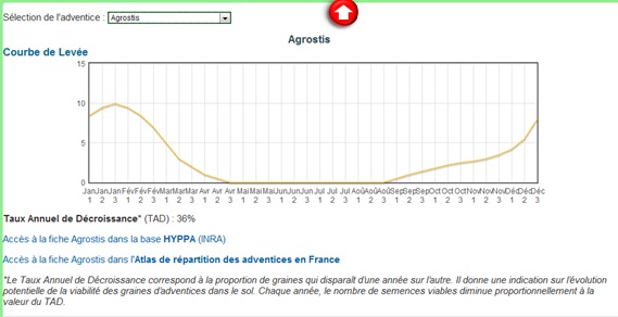 Exemple de fiche Adventice